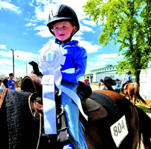 Horsing around with flair at the fair